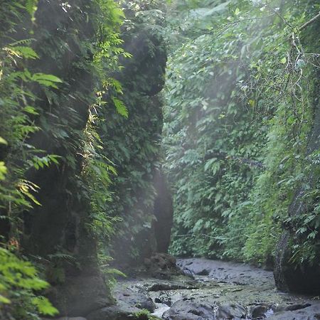 Hotel Pramana Giri Kusuma Payangan Exteriér fotografie