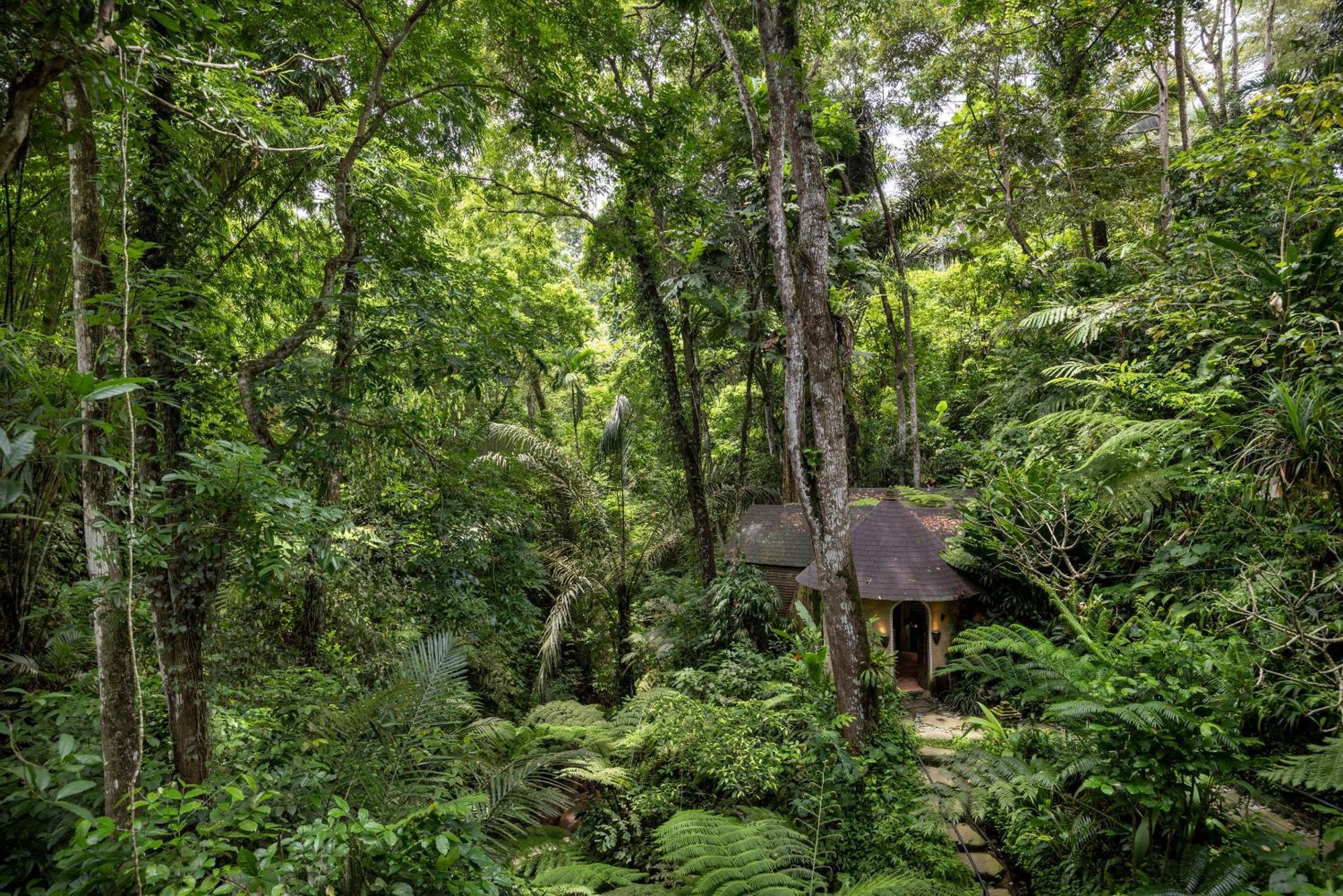 Hotel Pramana Giri Kusuma Payangan Exteriér fotografie